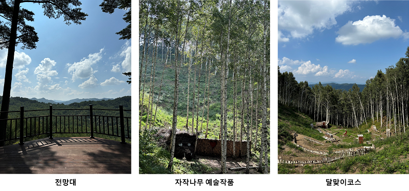 세부코스안내3_달맞이코스_크기축소.png